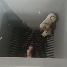 toy waste shredding 1